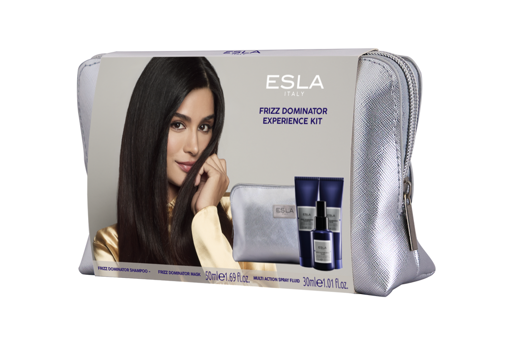 Frizz Dominator Experience Kit