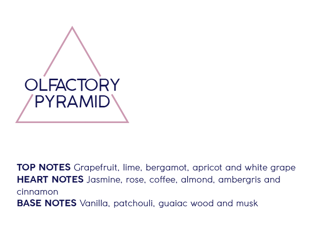 Fragrance Profile