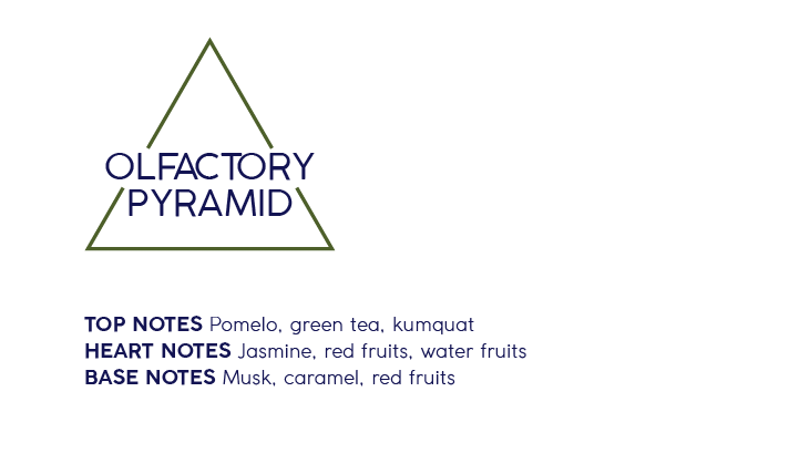 Fragrance Profile