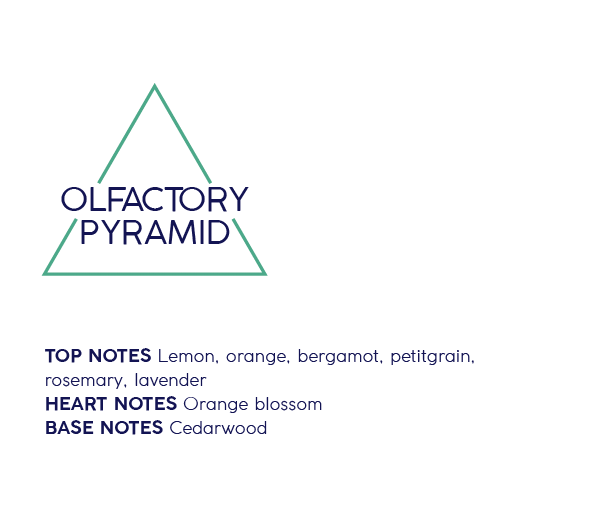 Fragrance Profile