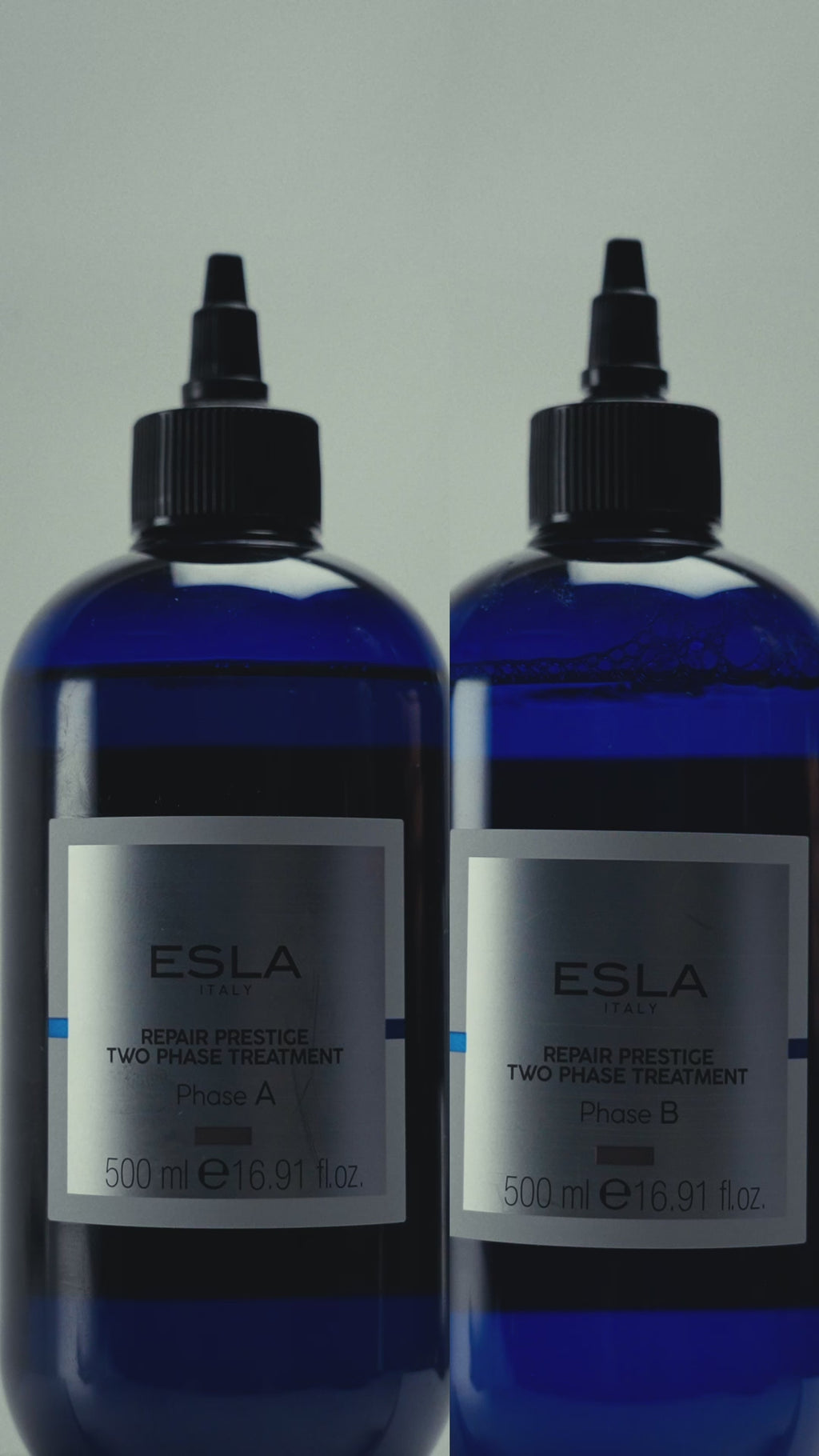 REPAIR PRESTIGE TWO PHASE TREATMENT PHASE B